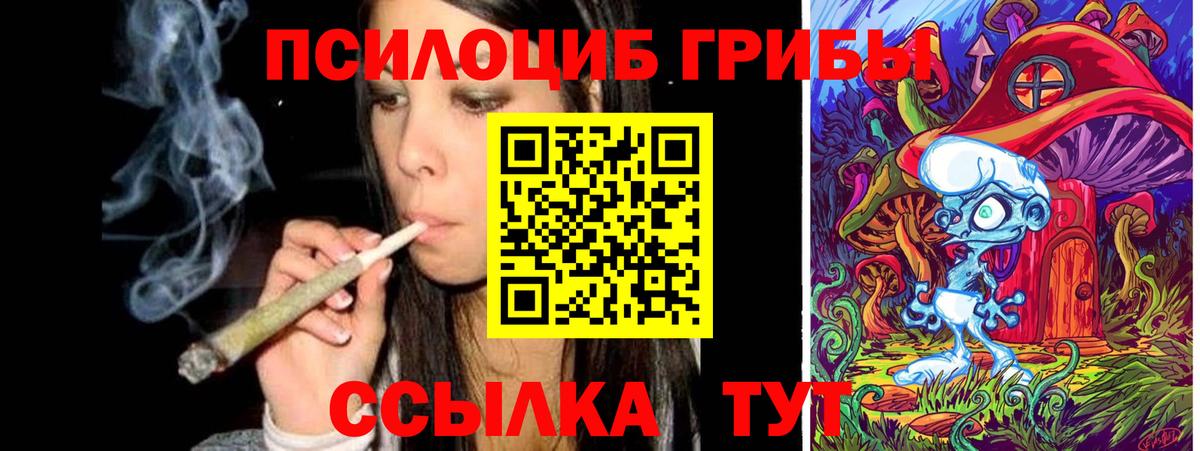 Аргун  Псилоцибиновые грибы мицелий  Галлюциногенные грибы Psilocybe  Вход с VPN 